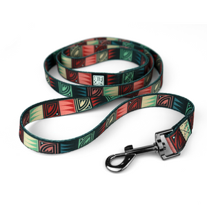 Desert Night Dog Leash